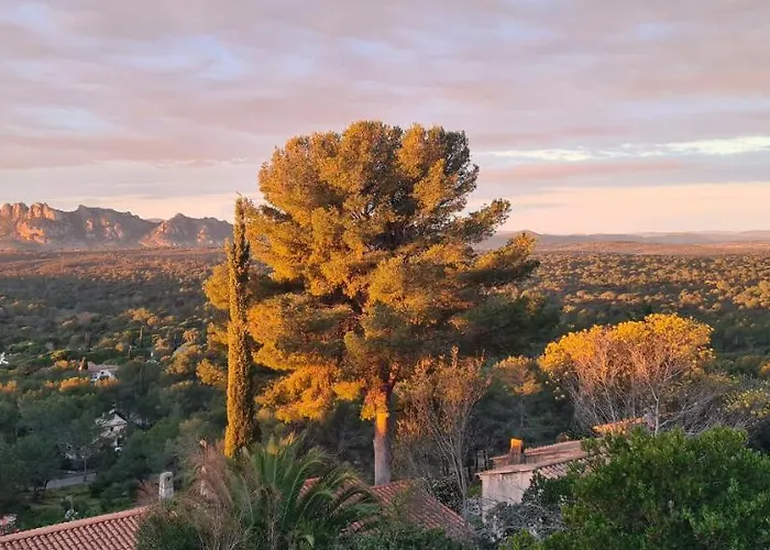 Corniche Du Paradis Bed & Breakfast Roquebrune-sur Argens